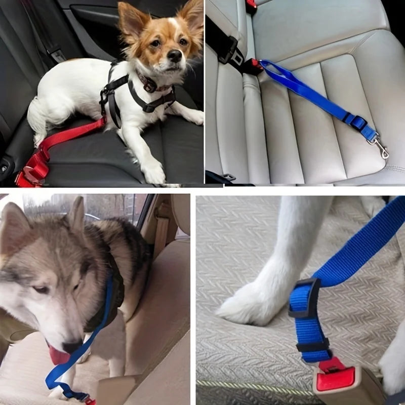 Adjustable Harness and Leash Cat Dog Car