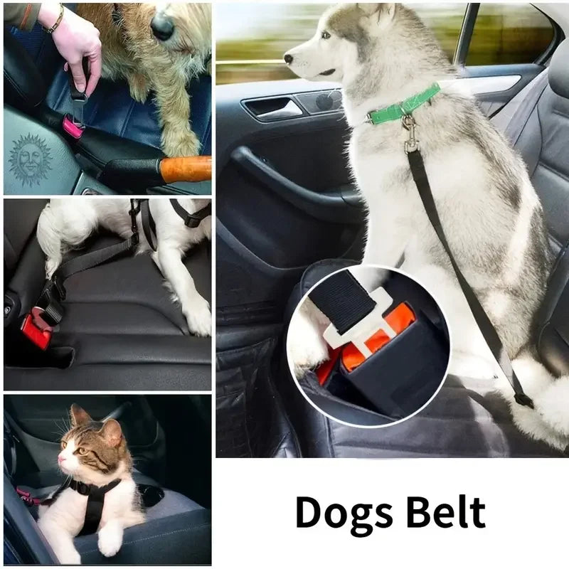 Adjustable Harness and Leash Cat Dog Car