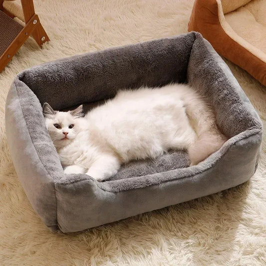 My cat's bed