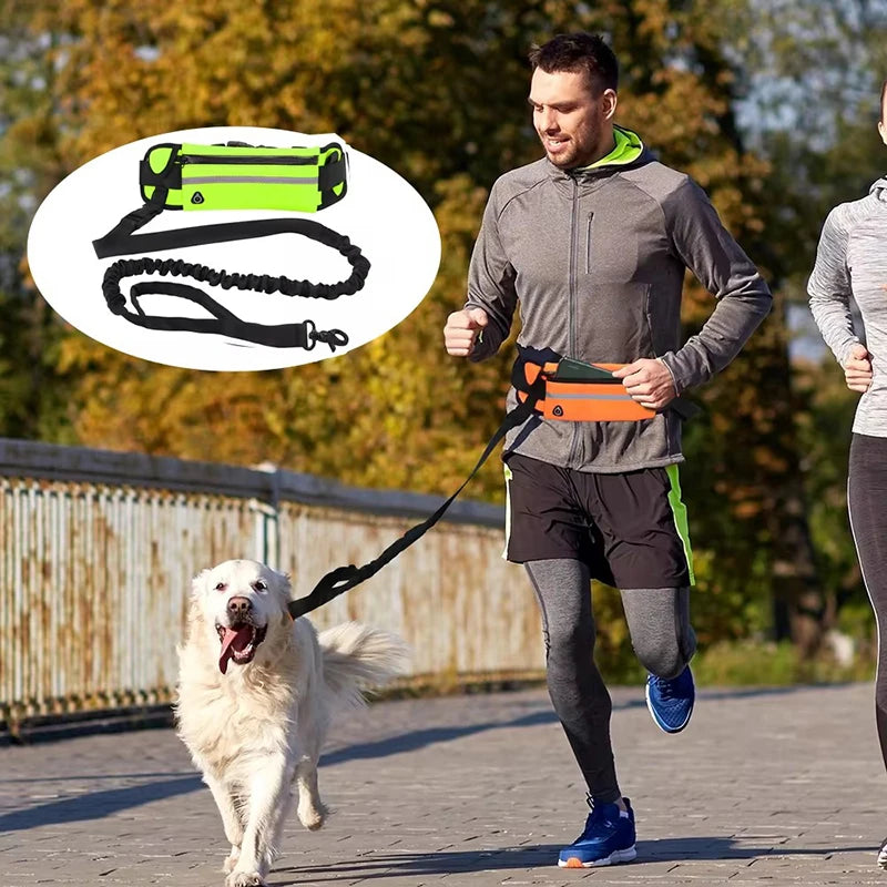 Hands Free Dog Leash for Running