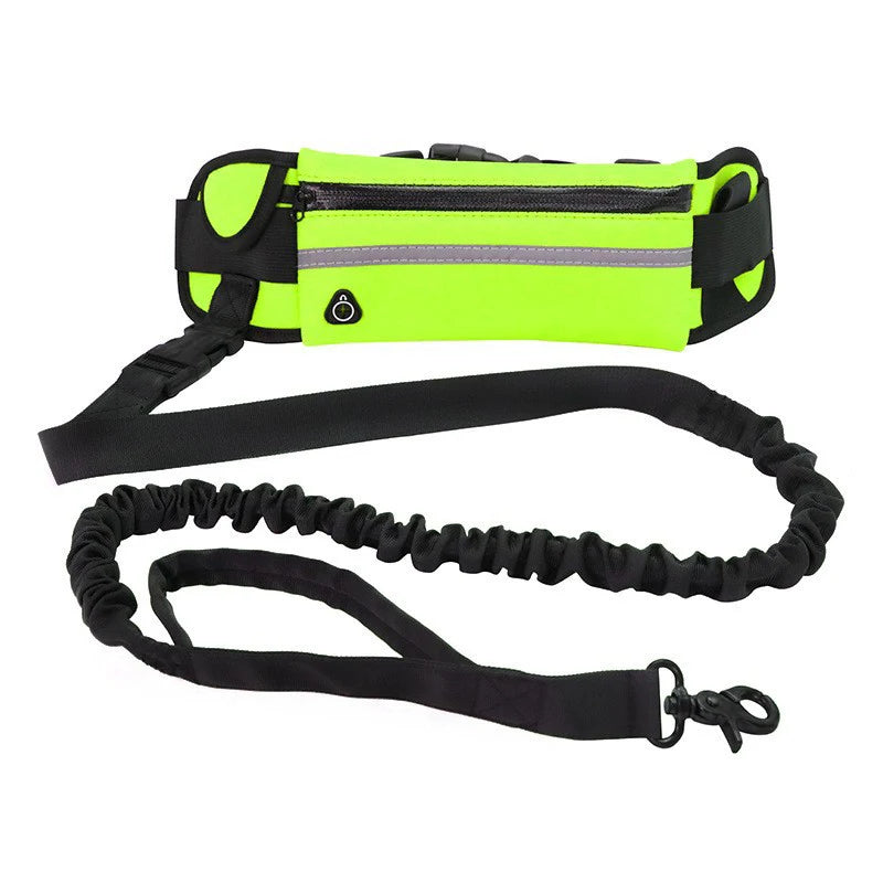 Hands Free Dog Leash for Running