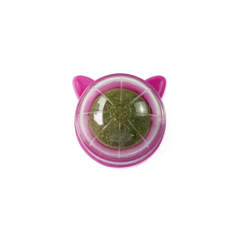 Wall Stick-on Ball Toy for cat