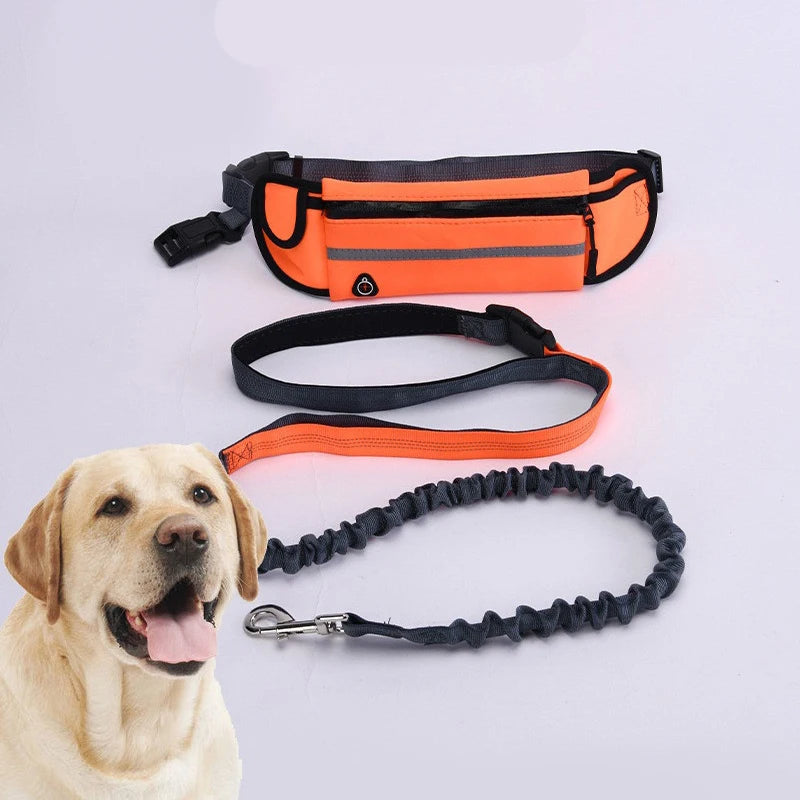 Hands Free Dog Leash for Running