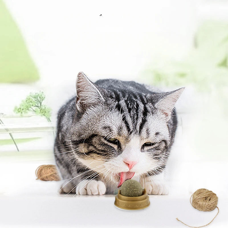 Wall Stick-on Ball Toy for cat