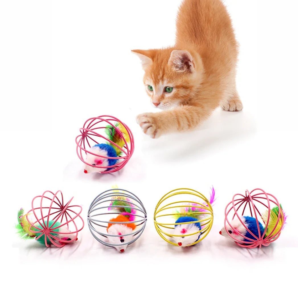 Pet Toys and Supplies