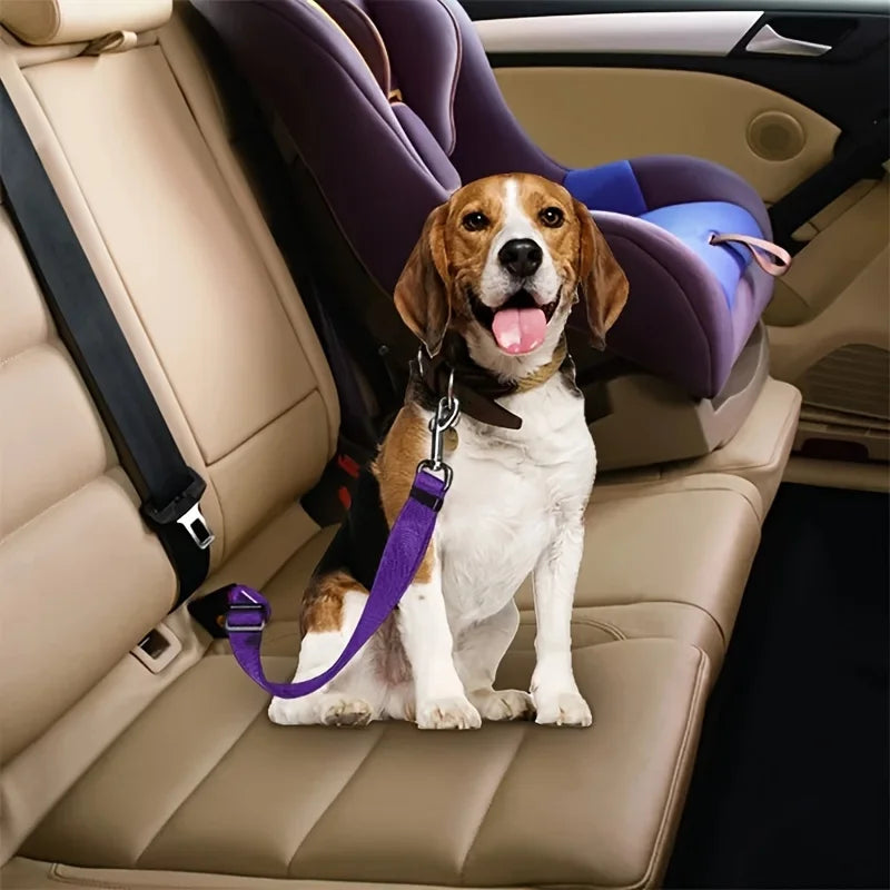 Adjustable Harness and Leash Cat Dog Car