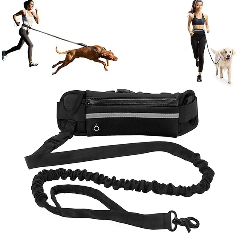 Hands Free Dog Leash for Running