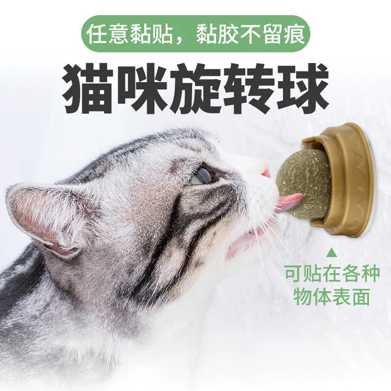 Wall Stick-on Ball Toy for cat