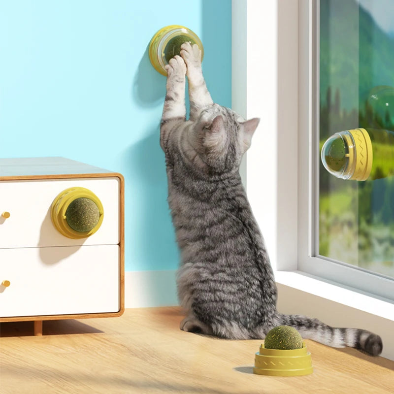 Wall Stick-on Ball Toy for cat